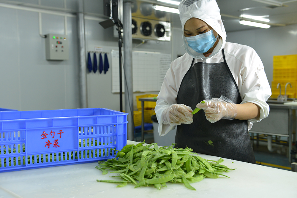 净菜加工工艺 (8).png