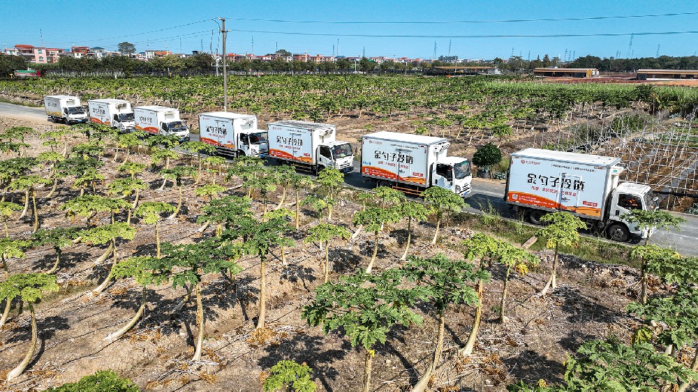 DJI_0794--.jpg