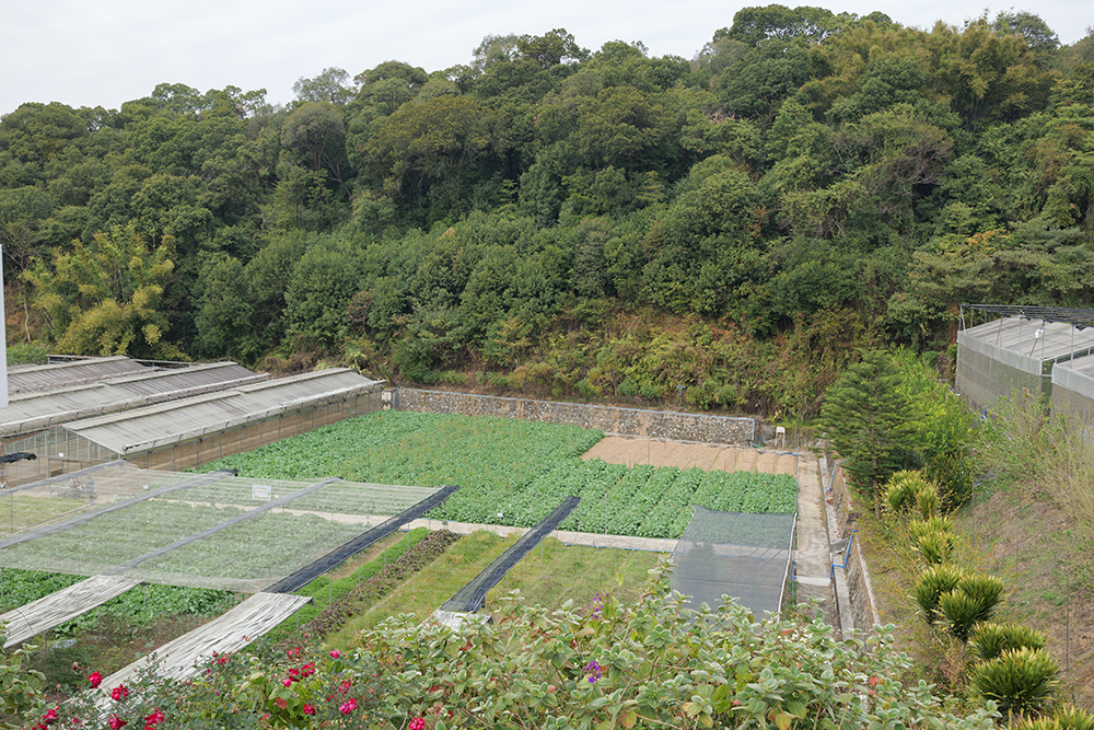 _1095358.png