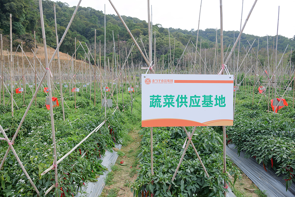 一站式食材采购,畅享便捷美食之旅.png