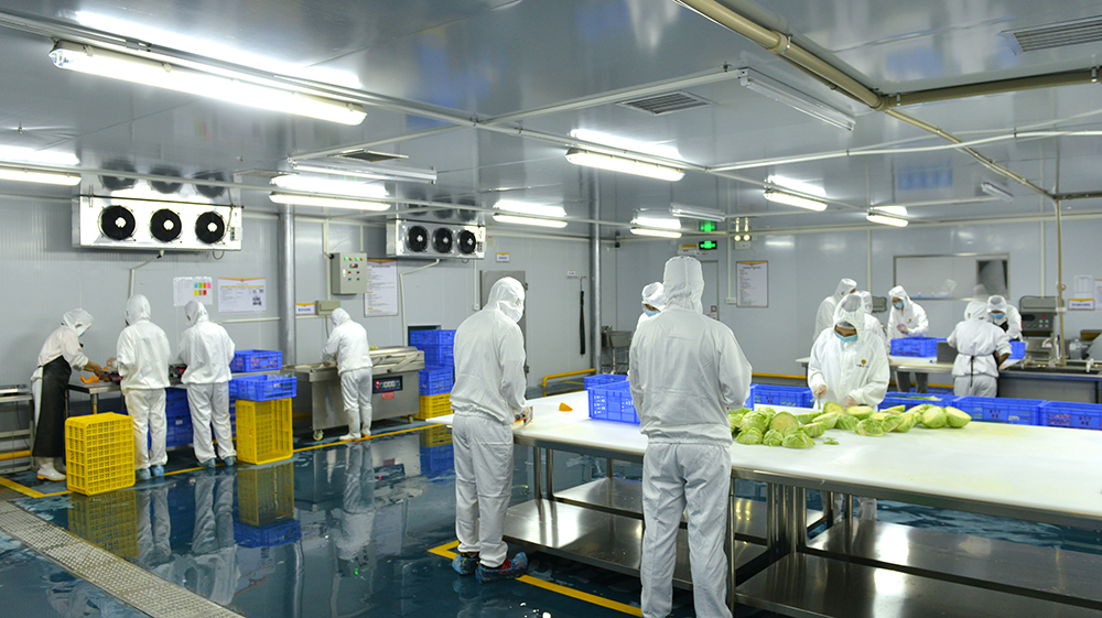 生鲜供应:食品安全与效率的双重挑战.png