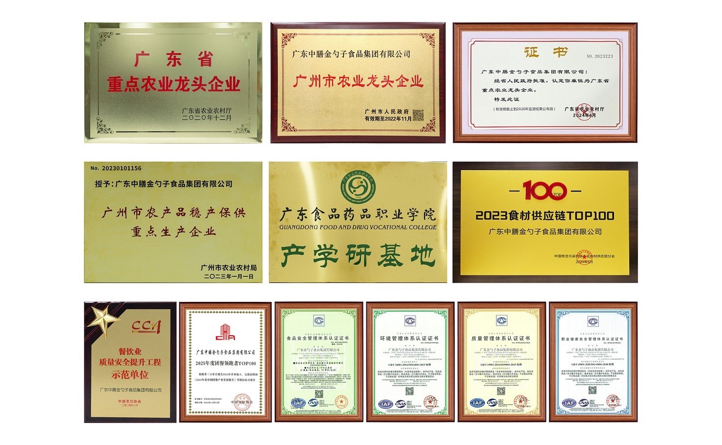 企业荣誉